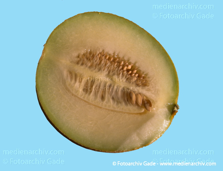 Aufgeschnittene Melone
12. 5. 2008. Aufgeschnittene Melone
Schlüsselwörter: Flora;Frucht;Melone;Natur;Obst;Pflanzen;plants