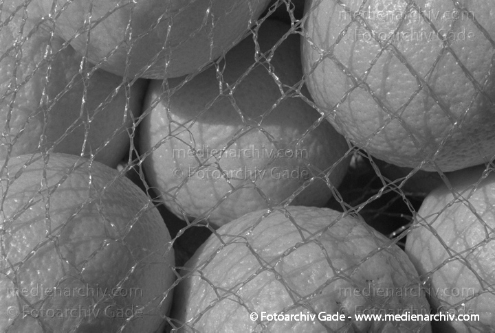Pflanzen. Obst
1997. Flora. Pflanzen. Obst
Schlüsselwörter: 1997;Flora;Natur;Obst;Pflanzen;plants
