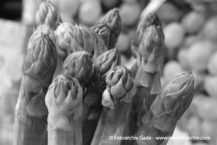 Spargel. Asparagus spec.
Spargel (Asparagus spec. ).   Spargelgewächse (Asparagaceae).
Schlüsselwörter: 1997;Asparagus;Flora;Gemüse;Natur;Pflanzen;plants;Spargel