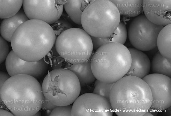 Tomate (Solanum lycopersicum)
Tomate (Solanum lycopersicum agg. ).  Nachtschattengewächse (Solanaceae).
Schlüsselwörter: Flora;Gemüse;Natur;Pflanzen;plants;Solanum lycopersicum;Strauch;Sträucher;Tomate