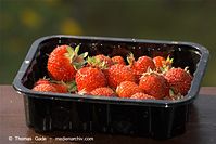 Dateiname=Flora-Erdbeeren-20100703-13.jpg
Dateigröße=167KB
Abmessungen: 720x481
hinzugefügt am: 01. April 2014 Flora-Erdbeeren-20100703-13.jpg