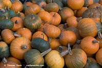 Flora-Kuerbis-20091031-109.jpg