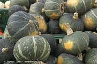 Flora-Kuerbis-20121104-102.jpg