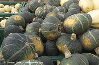 Flora-Kuerbis-20121104-103.jpg