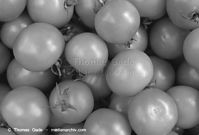 Flora-Strauch-Tomate-1997-25.jpg