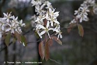 Dateiname=Flora-Strauch-Fel-20020420-08.jpg
Dateigröße=150KB
Abmessungen: 720x487
hinzugefügt am: 01. April 2014 Flora-Strauch-Fel-20020420-08.jpg
