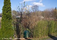 Dateiname=Flora-Strauch-Haselnuss-20140225-098.jpg
Dateigröße=312KB
Abmessungen: 720x511
hinzugefügt am: 01. April 2014 Flora-Strauch-Haselnuss-20140225-098.jpg