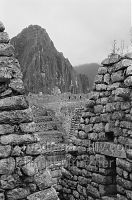 Dateiname=Peru-Machu-Picchu-1964-127.jpg
Dateigröße=152KB
Abmessungen: 465x700
hinzugefügt am: 15. April 2017 Peru-Machu-Picchu-1964-127.jpg