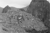 Dateiname=Peru-Machu-Picchu-1964-129.jpg
Dateigröße=201KB
Abmessungen: 850x565
hinzugefügt am: 15. April 2017 Peru-Machu-Picchu-1964-129.jpg