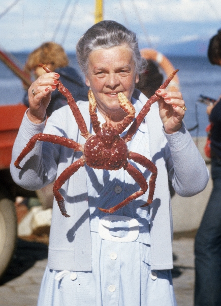 1981. Südamerika. Argentinien. Seespinne.
1981. Südamerika. Lateinamerika. Argentinien. Die Frau (Hase) des Fotografen mit einer Seespinne. 
Schlüsselwörter: 1981;Seespinne;Lateinamerika;Südamerika;Argentinien
