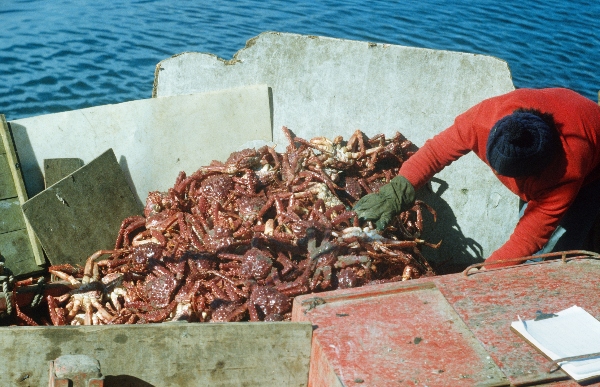 1981. Südamerika. Lateinamerika. Argentinien. Fischer auf dem Boot. Krabbenfischer, Krebse, Seespinnen.
1981. Südamerika. Lateinamerika. Argentinien. Fischer auf dem Boot. Krabbenfischer, Krebse, Seespinnen. Meer. Hafen
Schlüsselwörter: 1981;Argentinien;Fischer;Hafen;Krebse;Lateinamerika;Meer;Seespinnen;Südamerika