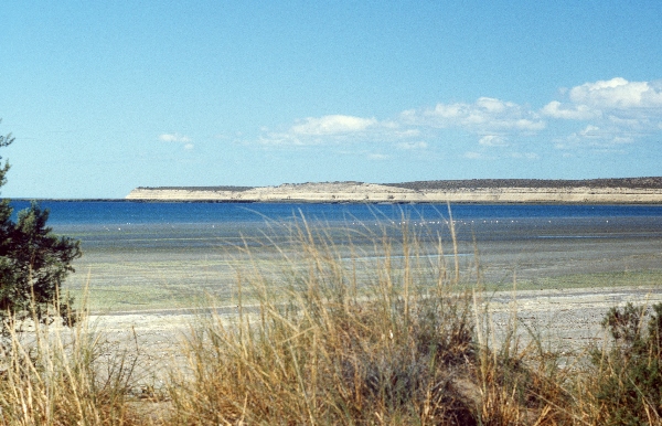 1981. Südamerika. Argentinien.
1981. Südamerika. Lateinamerika. Argentinien.
Schlüsselwörter: 1981;Argentinien;Lateinamerika;Südamerika