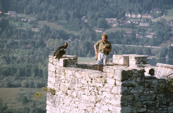 1987. Österreich. Kärnten. Adler
1987. Österreich. Kärnten. Adler. Vogel.
Schlüsselwörter: 1987;Adler;Kärnten;Vogel;Österreich