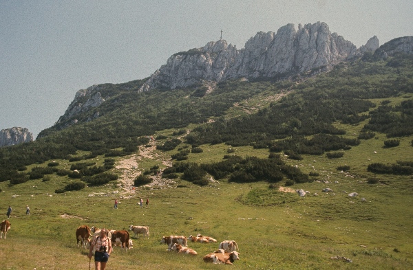 1985. Österreich. Salzburger Land
1985. Österreich. Salzburger Land
Schlüsselwörter: 1985;Salzburger Land;Österreich