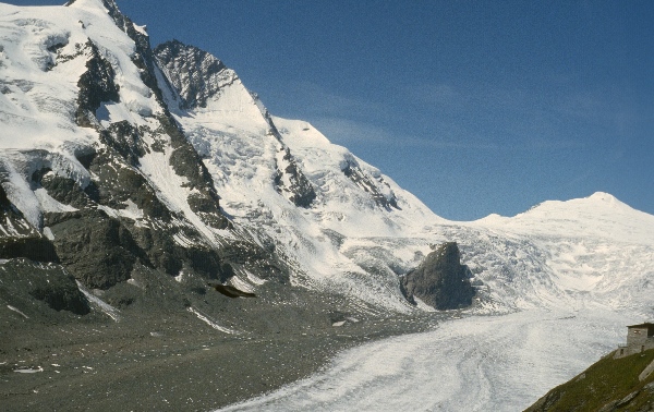 1979. Österreich. Tirol. Kitzbüheler Alpen. Region: Söll - Hochsöll, Silleralm. Gletscher
1979. Österreich. Tirol. Kitzbüheler Alpen. Region: Söll - Hochsöll, Silleralm. Gletscher
Schlüsselwörter: 1979;Alpen;Berge;Gebirge;Gletscher;Kitzbüheler Alpen;Tirol;Österreich