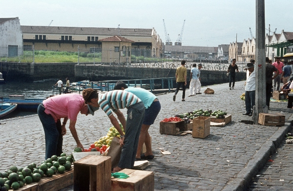 1969. Brasilien.
1969. Brasilien.
Schlüsselwörter: 1969;Brasilien