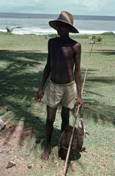 1969. Brasilien. Salvador. Bahia.
1969. Brasilien. Salvador. Bahia. Angler.
Schlüsselwörter: 1969;Bahia;Brasilien;Salvador
