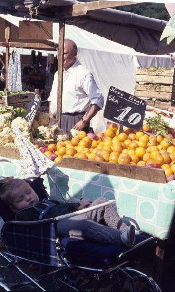 um 1965. Berlin. Wochenmarkt. Gemüsemarkt. Fruchtstand. Obst
um 1965. Berlin. Wochenmarkt. Gemüsemarkt. Fruchtstand. Obst
Schlüsselwörter: 1965;Berlin;Früchtestand;Gemüsemarkt;Markt;Obst