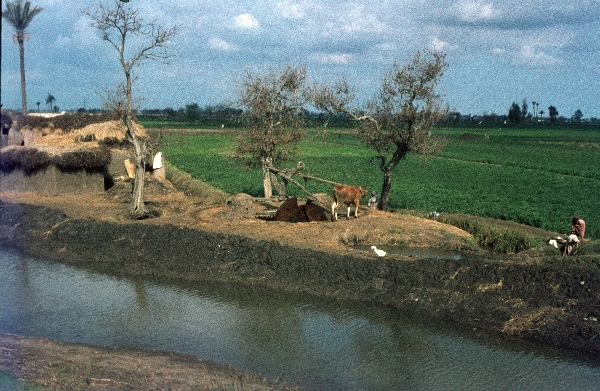 1966. Afrika. Egypt. Ägypten.
1966. Afrika. Egypt. Ägypten.
Schlüsselwörter: Egypt;Ägypten;1966;Afrika