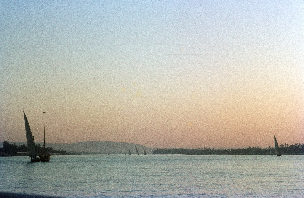 1966. Afrika. Egypt. Ägypten. Luxor
1966. Afrika. Egypt. Ägypten. Luxor. Segelboote auf dem Nil. Abendstimmung. 
Schlüsselwörter: Egypt;Segelboote;Nil;Luxor;Afrika;1966;Ägypten