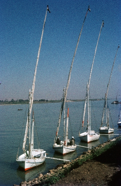 1966. Afrika. Egypt. Ägypten. Luxor
1966. Afrika. Egypt. Ägypten. Luxor. Segelboote auf dem Fluß / Fluss Nil. Am Ufer.
Schlüsselwörter: Egypt;Fluss;Fluß;Nil;Segelboote;Luxor;Afrika;1966;Ägypten
