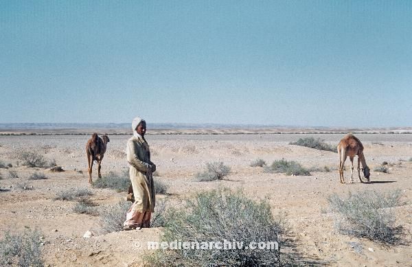 1958. Afrika. Ägypten. Kairo. Suez.  -  Africa. Egypt.
1958. Afrika. Ägypten. Kairo. Suez. Wüste. Mann mit zwei Kamelen  -  Africa. Egypt. Camels. Desert
Schlüsselwörter: 1958;Africa;Afrika;Camels;Desert;Egypt;Kairo;Kamele;Sueskanal;Suez;Suezkanal;Wüste;Ägypten