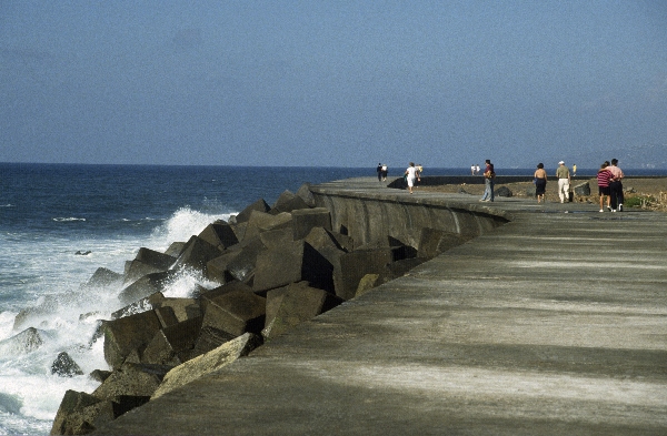 1991. Spanien. Kanarische Inseln. Teneriffa
1991. Spanien. Kanarische Inseln. Teneriffa
Schlüsselwörter: 1991;Teneriffa;Kanarische Inseln;Spanien