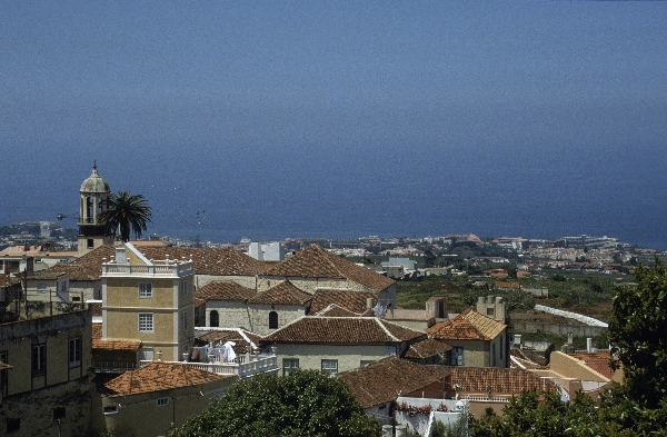 1991. Spanien. Kanarische Inseln. Teneriffa
1991. Spanien. Kanarische Inseln. Teneriffa
Schlüsselwörter: 1991;Teneriffa;Kanarische Inseln;Spanien