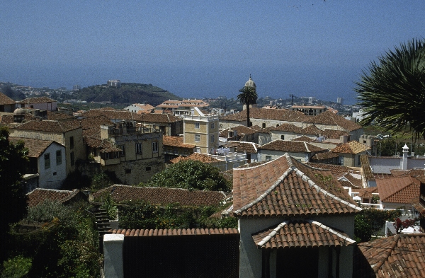 1991. Spanien. Kanarische Inseln. Teneriffa
1991. Spanien. Kanarische Inseln. Teneriffa
Schlüsselwörter: 1991;Teneriffa;Kanarische Inseln;Spanien