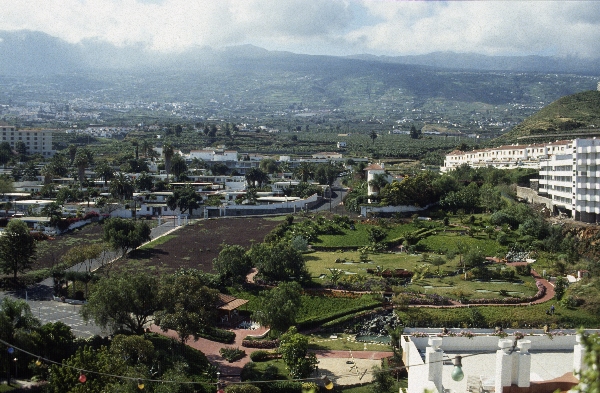 1991. Spanien. Kanarische Inseln. Teneriffa
1991. Spanien. Kanarische Inseln. Teneriffa
Schlüsselwörter: 1991;Teneriffa;Kanarische Inseln;Spanien