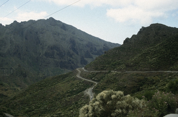 1991. Spanien. Kanarische Inseln. Teneriffa
1991. Spanien. Kanarische Inseln. Teneriffa
Schlüsselwörter: 1991;Teneriffa;Kanarische Inseln;Spanien