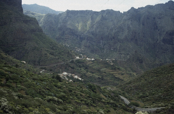 1991. Spanien. Kanarische Inseln. Teneriffa
1991. Spanien. Kanarische Inseln. Teneriffa
Schlüsselwörter: 1991;Teneriffa;Kanarische Inseln;Spanien