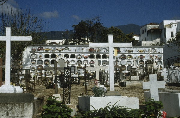 1991. Spanien. Kanarische Inseln. Teneriffa
1991. Spanien. Kanarische Inseln. Teneriffa
Schlüsselwörter: 1991;Teneriffa;Kanarische Inseln;Spanien