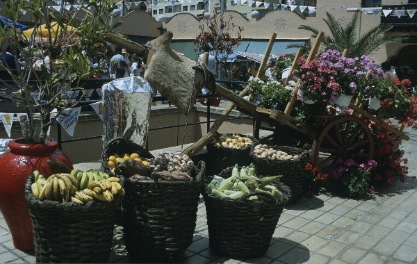 1991. Spanien. Kanarische Inseln. Teneriffa
1991. Spanien. Kanarische Inseln. Teneriffa
Schlüsselwörter: 1991;Teneriffa;Kanarische Inseln;Spanien