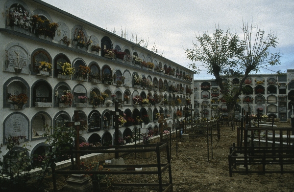 1991. Spanien. Kanarische Inseln. Teneriffa. Friedhof
1991. Spanien. Kanarische Inseln. Teneriffa. Friedhof
Schlüsselwörter: 1991;Friedhof;Kanarische Inseln;Spanien;Teneriffa