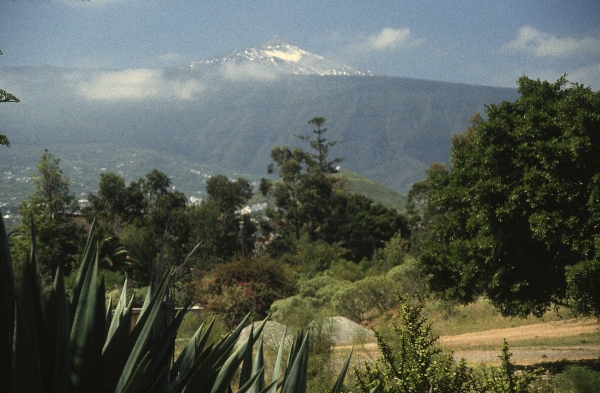 1991. Spanien. Kanarische Inseln. Teneriffa
1991. Spanien. Kanarische Inseln. Teneriffa
Schlüsselwörter: 1991;Teneriffa;Kanarische Inseln;Spanien