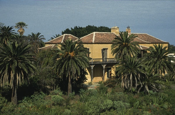 1991. Spanien. Kanarische Inseln. Teneriffa
1991. Spanien. Kanarische Inseln. Teneriffa
Schlüsselwörter: 1991;Teneriffa;Kanarische Inseln;Spanien