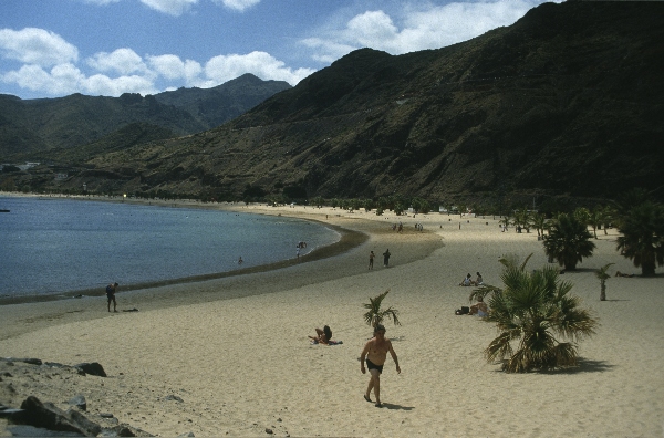 1991. Spanien. Kanarische Inseln. Teneriffa
1991. Spanien. Kanarische Inseln. Teneriffa
Schlüsselwörter: 1991;Teneriffa;Kanarische Inseln;Spanien