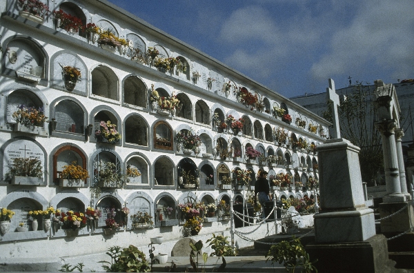 1991. Spanien. Kanarische Inseln. Teneriffa. Friedhof
1991. Spanien. Kanarische Inseln. Teneriffa. Friedhof
Schlüsselwörter: 1991;Teneriffa;Kanarische Inseln;Spanien;Friedhof