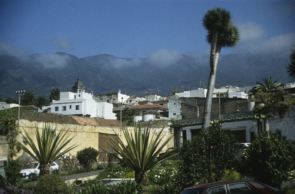 1991. Spanien. Kanarische Inseln. Teneriffa
1991. Spanien. Kanarische Inseln. Teneriffa
Schlüsselwörter: 1991;Teneriffa;Kanarische Inseln;Spanien