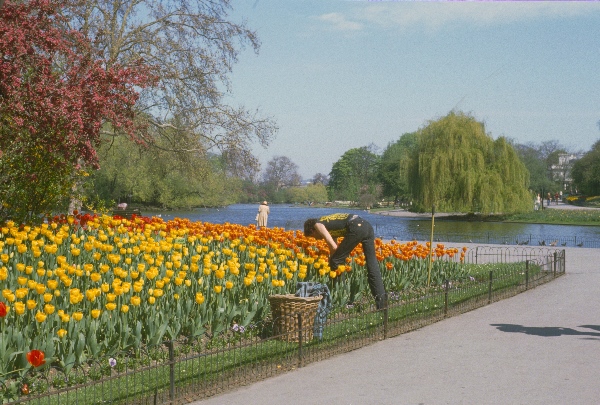 1981. England. Großbritannien. Great Britain. London
1981. England. Großbritannien. Great Britain. London
Foto: Helga Müller
Schlüsselwörter: 1981;Great Britain;Großbritannien;England;London