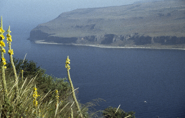Juni 1991. Griechenland
Juni 1991. Griechenland
Schlüsselwörter: 1991;Griechenland;Küste;Meer