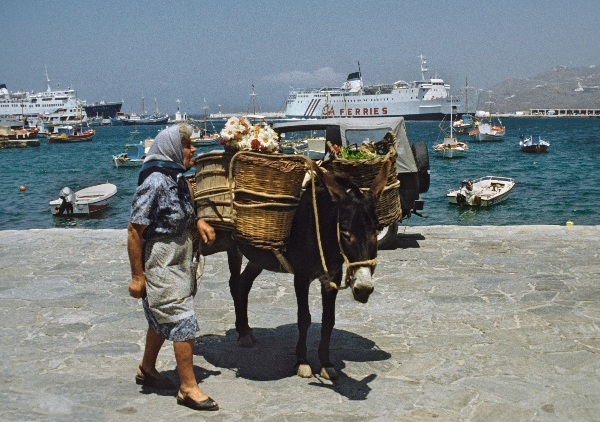 Juni 1991. Griechenland. Griechin / Frau mit einem Lastesel mit Körben in einem Hafen.
Juni 1991. Griechenland. Griechin / Frau mit einem Lastesel mit Körben in einem Hafen.
Schlüsselwörter: 1991;Meer;Schiffe;Hafen;Lastesel;Griechenland