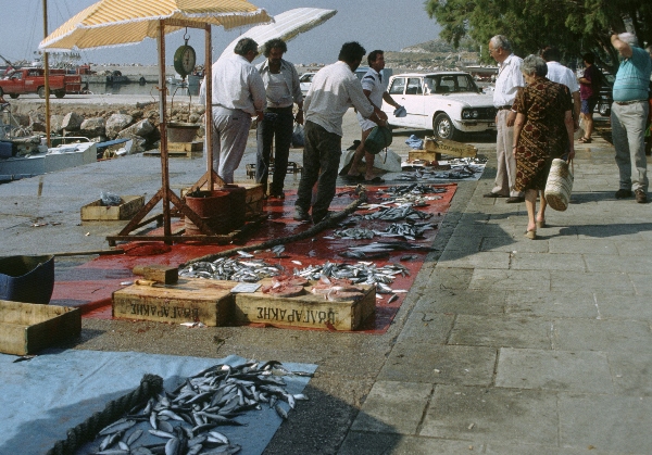 Juni 1991. Griechenland. Fischerverkäufer
Juni 1991. Griechenland. Fischverkäufer
Schlüsselwörter: 1991;Fische;Fischstand;Fischverkäufer;Griechenland;Marktstand;Meeresfrüchte