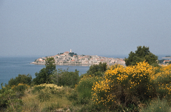 Mai 1983. Kroatien. Dalmatien. ehemaliges Jugoslawien.
Mai 1983. Kroatien. Dalmatien. ehemaliges Jugoslawien. Adria. Rotel Reise / Bus - Schiff- Hotel:  Split, Dubrovnik, Korcula (Insel) - Hvar (Insel)
Fotos: Helga Müller
Schlüsselwörter: Jugoslawien;Kroatien;Dalmatien;1983;Adria