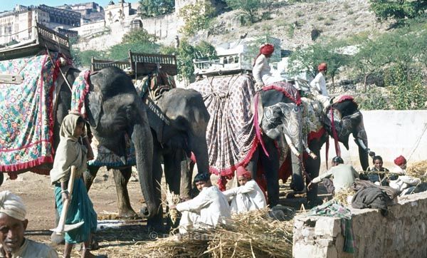 vermutlich 1974. Indien
vermutlich 1974. Indien
Schlüsselwörter: 1974;Indien