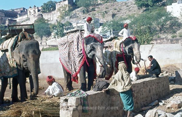 vermutlich 1974. Indien
vermutlich 1974. Indien
Schlüsselwörter: 1974;Indien