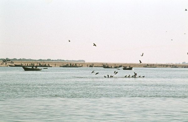 1974. Indien. Uttar Pradesh. Varanasi. Benares. Am Fluss Ganges.
1974. Indien. Uttar Pradesh. Varanasi. Benares. Am Fluss Ganges.
Schlüsselwörter: 1974;Benares;Ganges;Ghats;Indien;Uttar Pradesh;Varanasi
