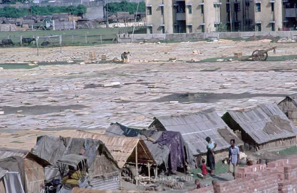 vermutlich 1974. Indien. Westbengalen. Kalkutta. Calcutta. Kolkata
vermutlich 1974. Indien. Westbengalen. Kalkutta. Calcutta. Kolkata
Schlüsselwörter: 1974;Calcutta;Indien;Kalkutta;Kolkata;Westbengalen