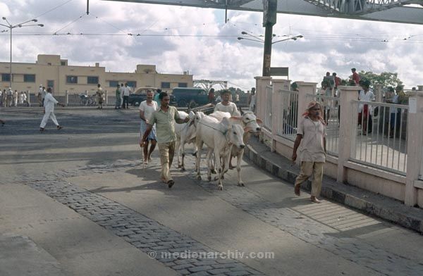 vermutlich 1974. Indien. Westbengalen. Kalkutta. Calcutta. Kolkata
vermutlich 1974. Indien. Westbengalen. Kalkutta. Calcutta. Kolkata
Schlüsselwörter: 1974;Calcutta;Indien;Kalkutta;Kolkata;Westbengalen